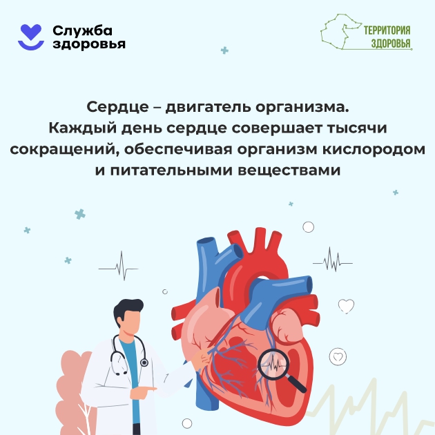 Памятки населению